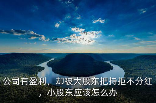 公司有盈利，卻被大股東把持拒不分紅，小股東應(yīng)該怎么辦