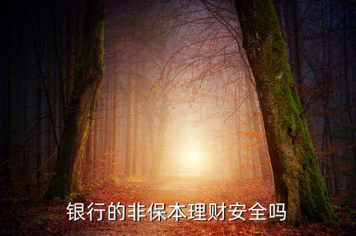 渤海銀行非保本理財(cái)怎么樣,能買(mǎi)銀行的非保本理財(cái)嗎