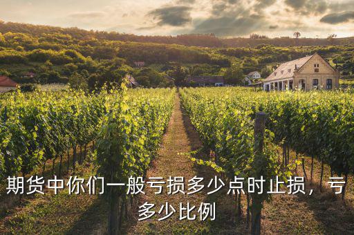 期貨中你們一般虧損多少點(diǎn)時(shí)止損，虧多少比例