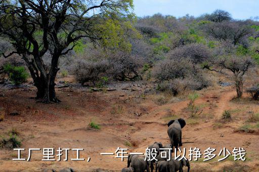 工廠里打工，一年一般可以掙多少錢