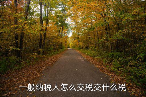 稅友可以繳納什么稅，一般納稅人應(yīng)該交什么稅稅率是多少啊