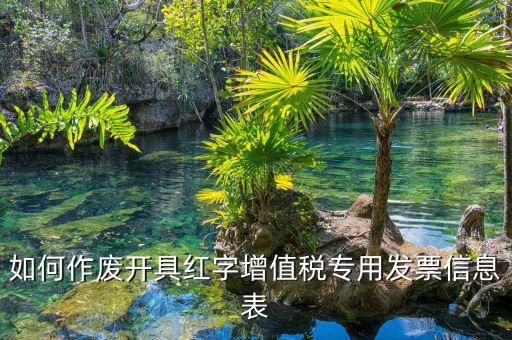 開(kāi)具紅字信息表撤銷(xiāo)需要什么意思，我是購(gòu)貨方開(kāi)具紅字信息表錯(cuò)誤去稅務(wù)局撤銷(xiāo)信息表查看描寫(xiě)
