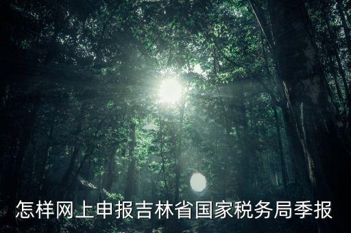 吉林省用什么報(bào)稅系統(tǒng)，吉林省的報(bào)稅系統(tǒng)如何使用