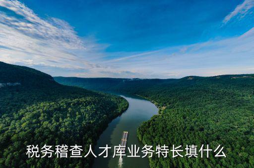 地稅局的人才庫(kù)是什么，地稅局的人具體做什么