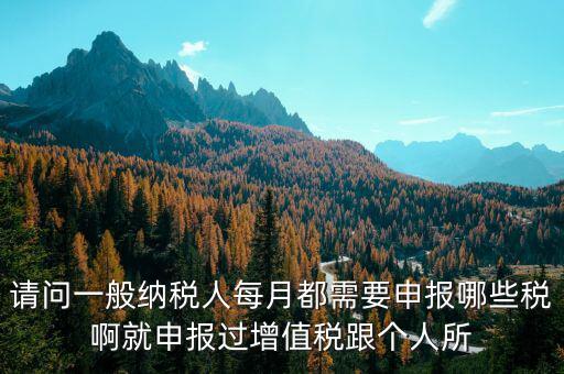 一般納稅人每月必報(bào)什么經(jīng)費(fèi)，一般納稅人每月都需要報(bào)什么稅