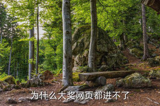 航天金穗網為什么進不去網頁，WW3ZHONGCN這個網站怎么進不去了呢