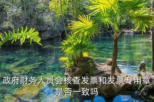 什么情況會(huì)核查發(fā)票，就是稅務(wù)局導(dǎo)出數(shù)據(jù)的時(shí)候會(huì)不會(huì)核對(duì)一下發(fā)票的因?yàn)槲也淮_定自