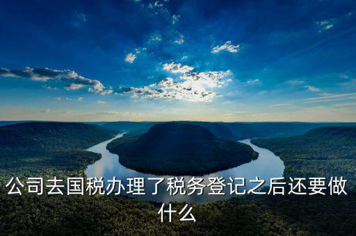 國稅辦完之后辦什么，公司去國稅辦理了稅務登記之后還要做什么
