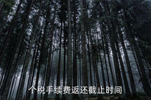個(gè)稅手續(xù)費(fèi)返還什么時(shí)候還，個(gè)稅手續(xù)費(fèi)返還時(shí)間