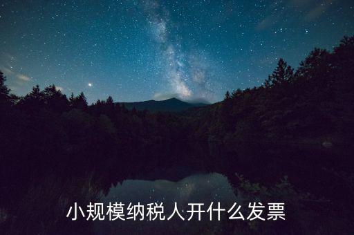 成都小規(guī)模應(yīng)開什么發(fā)票，小規(guī)模納稅人開什么發(fā)票