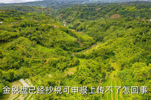 金稅申報(bào)發(fā)送不了是什么原因，金稅盤已經(jīng)抄稅可申報(bào)上傳不了怎回事