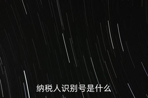 電子稅務局納稅人識別號是什么，納稅人識別號是什么