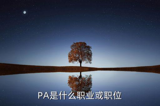 河南省國稅局陳紅偉什么職務(wù)，PA是什么職業(yè)或職位