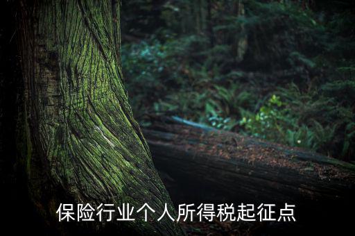 保險(xiǎn)行業(yè)入交什么稅，保險(xiǎn)行業(yè)個(gè)人所得稅起征點(diǎn)