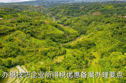 稅收優(yōu)惠事項(xiàng)備案項(xiàng)目是什么，企業(yè)所得稅需備案的事項(xiàng)包括哪些