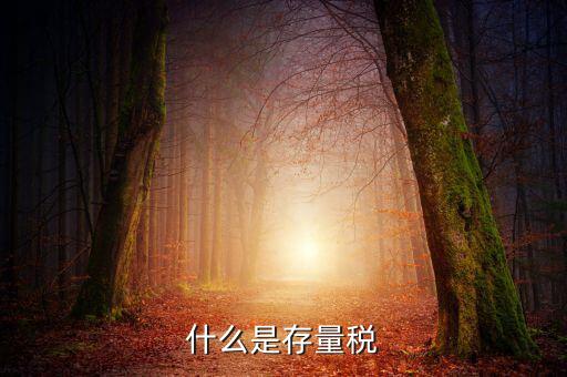 稅務(wù)存量戶指什么，稅務(wù)登記證轉(zhuǎn)非是什么意思