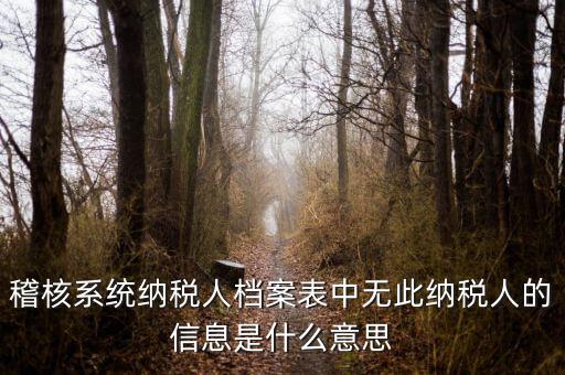 稽核系統(tǒng)納稅人檔案表中無(wú)此納稅人的信息是什么意思