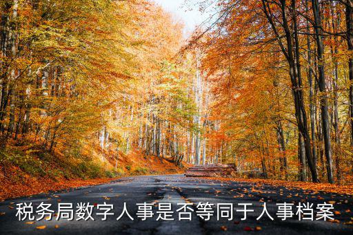 數(shù)字人事國稅是什么，數(shù)字人事第一段怎么劃分