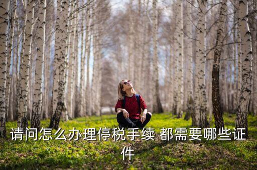 停供發(fā)票需要注意什么手續(xù)，停國稅要怎么辦理 要什么手續(xù)