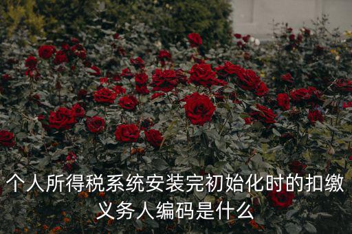扣繳人義無編碼是什么，扣繳義務(wù)人編碼是什么