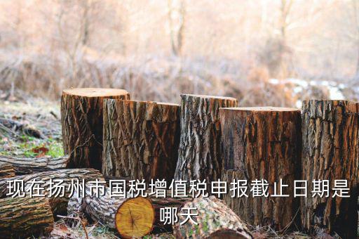 揚(yáng)州10月稅務(wù)申報什么時候，個人所得稅10月份申報期限是多少