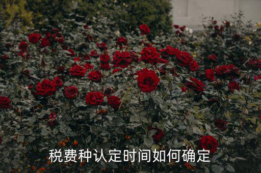稅種認定后什么時間申報，稅務局變更稅費種認定變更后多久可以可以報稅