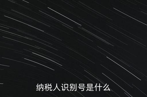山西國(guó)稅納稅人識(shí)別號(hào)是什么，納稅人識(shí)別號(hào)是什么