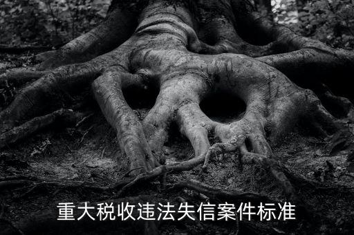 重大稅收違法是什么意思，實(shí)名辦稅黑名單納稅人是什么意思