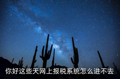 為什么個(gè)稅系統(tǒng)打不開，你好這些天網(wǎng)上報(bào)稅系統(tǒng)怎么進(jìn)不去