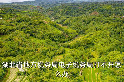 湖北電子地稅是什么，湖北省地方稅務局電子稅務局打不開怎么辦