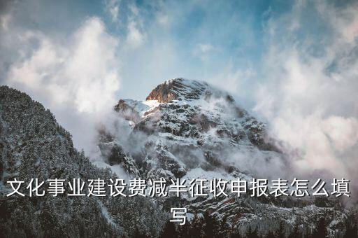 什么叫文化事業(yè)建設費申報表，文化事業(yè)建設費申報表怎么填