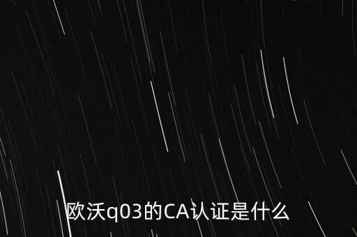 ca認證密碼是什么意思，歐沃q03的CA認證是什么