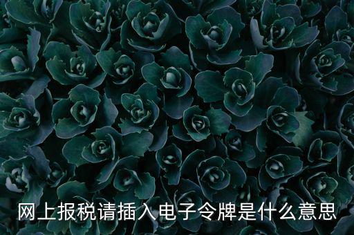 網(wǎng)上報稅請插入電子令牌是什么意思