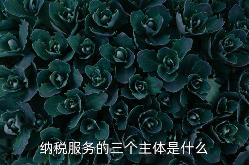 納稅服務(wù) 是什么，納稅服務(wù)的三個(gè)主體是什么