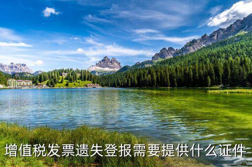 深圳地稅發(fā)票遺失要什么手續(xù)，遺失地稅服務(wù)業(yè)的發(fā)票該怎么辦