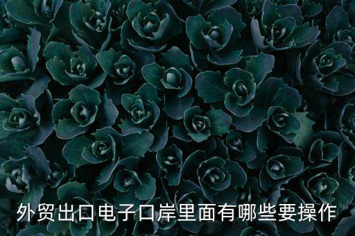 外貿(mào)出口電子口岸里面有哪些要操作