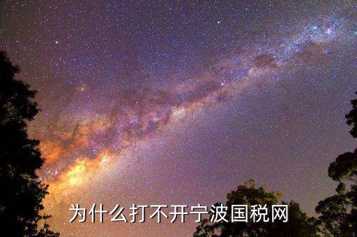 寧波國稅app為什么登陸不上，為什么打不開寧波國稅網(wǎng)