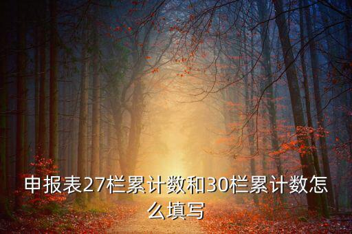 什么是期初未繳稅額，申報(bào)表27欄累計(jì)數(shù)和30欄累計(jì)數(shù)怎么填寫