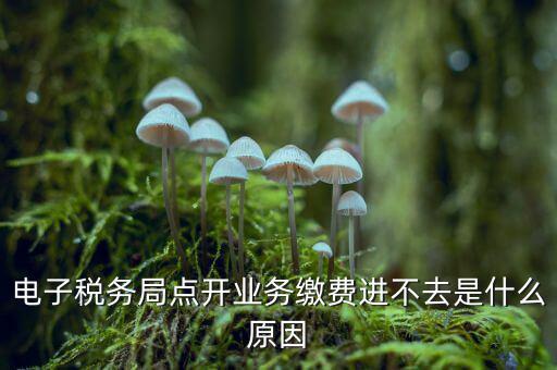 為什么江蘇省電子稅務(wù)局進(jìn)不去，請(qǐng)問(wèn)電子稅務(wù)局登不上去怎么回事