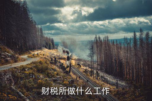 財(cái)稅公司是干什么的，深圳財(cái)稅顧問公司是干什么的