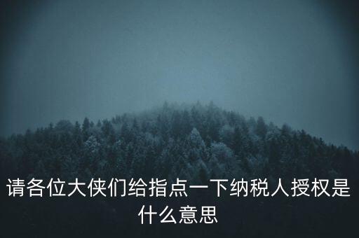 納稅人獲得感是什么意思，請各位大俠們給指點(diǎn)一下納稅人授權(quán)是什么意思