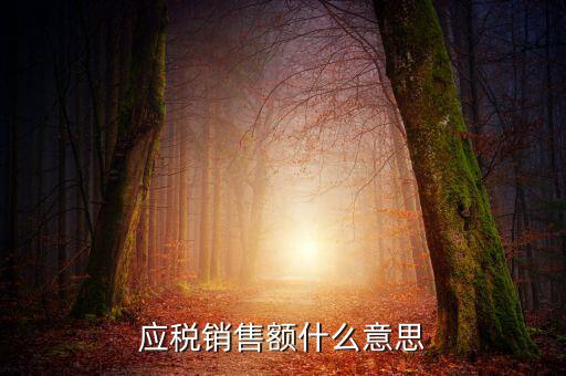 稅務(wù)銷售額是什么意思，年應(yīng)稅銷售額是什么意思