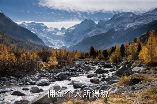 傭金繳納什么稅，傭金個(gè)人所得稅