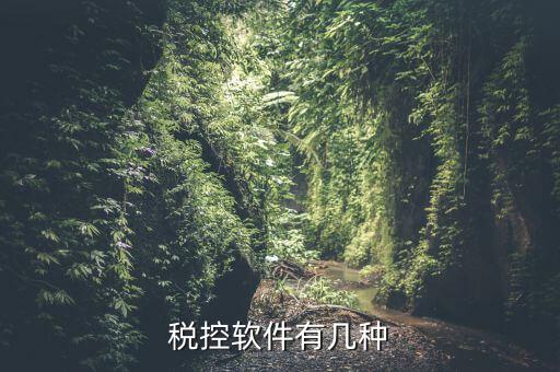 控稅軟件針對什么，稅控軟件有幾種