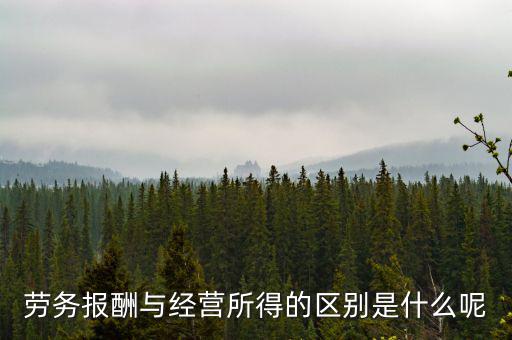 什么是經(jīng)營所得，個體工商戶的生產(chǎn)經(jīng)營所得是指什么