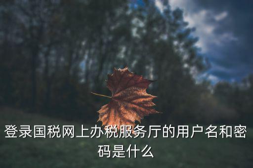 報(bào)稅企業(yè)用戶(hù)名是什么，登錄國(guó)稅網(wǎng)上辦稅服務(wù)廳的用戶(hù)名和密碼是什么