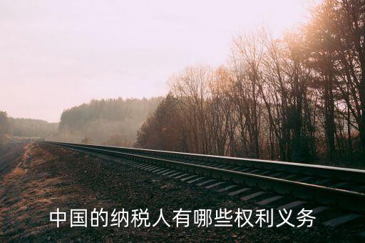 納稅服務(wù)什么權(quán)，中國(guó)的納稅人有哪些權(quán)利義務(wù)