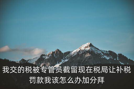 稅務(wù)人員截留稅款受什么處分，我交的稅被專管員截留現(xiàn)在稅局讓補(bǔ)稅罰款我該怎么辦加分拜