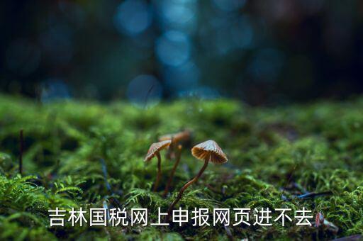 吉林省國稅上不去為什么，吉林省國家稅務(wù)局晚上申報(bào) 無法安全登陸