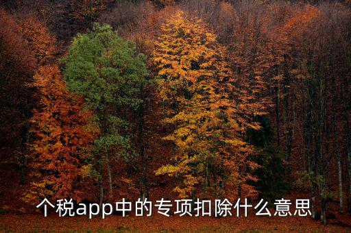 個(gè)稅app中的專項(xiàng)扣除什么意思
